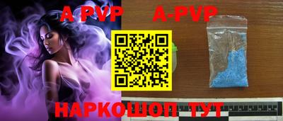 тгк Камышлов
