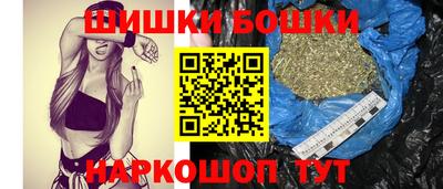 тгк Камышлов