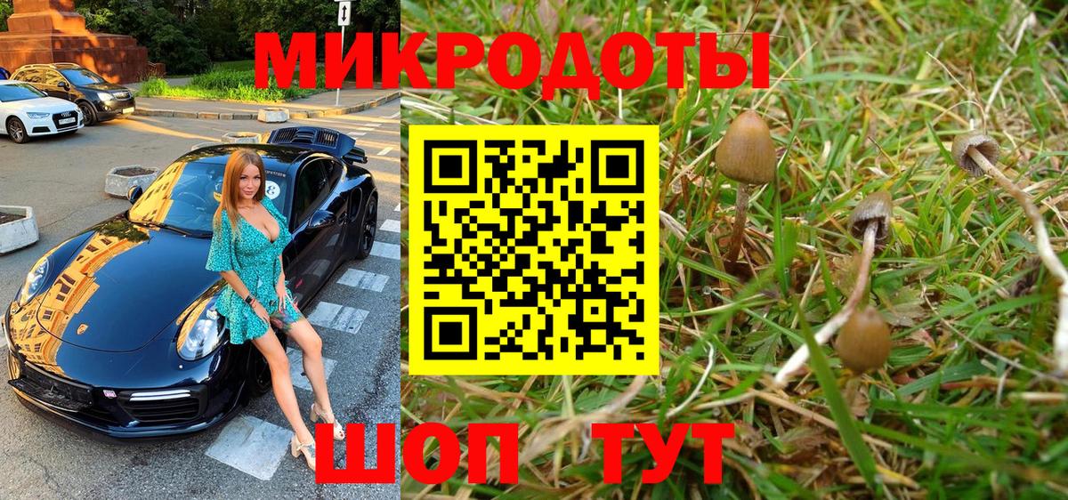 Кубинка  Галлюциногенные грибы прущие грибы  Вход с VPN 